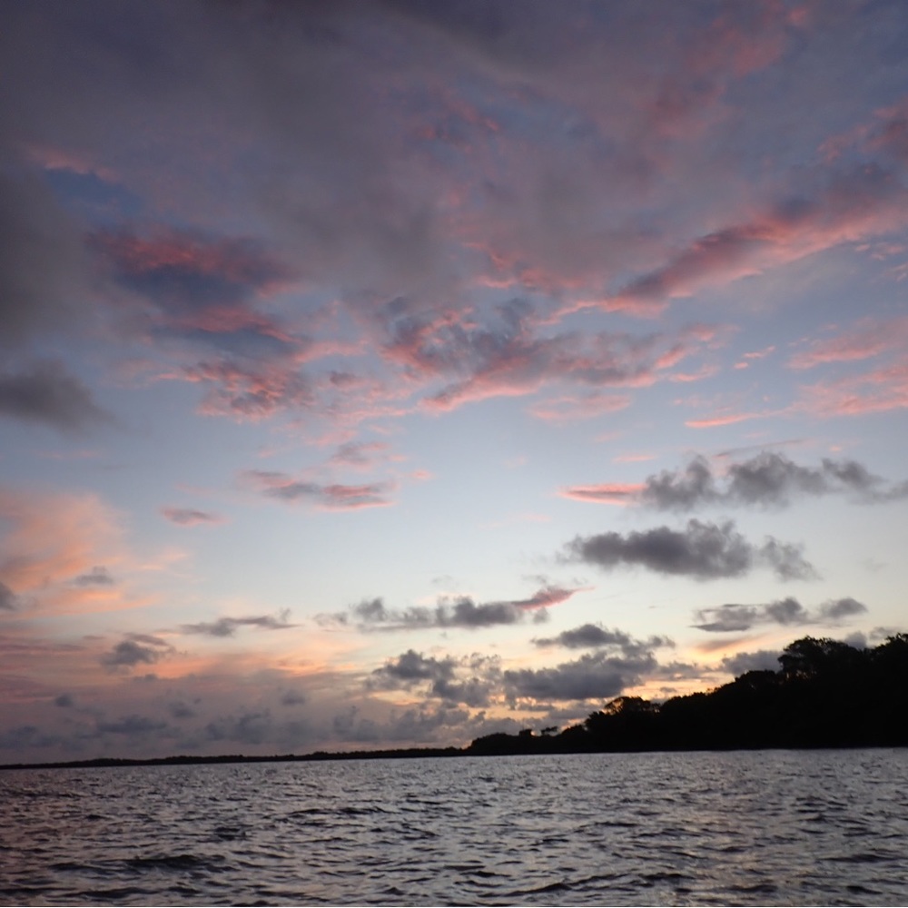 Meet your Posher, Georgia